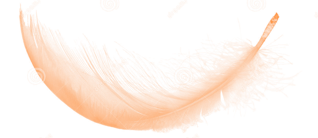 M01_HP_013
